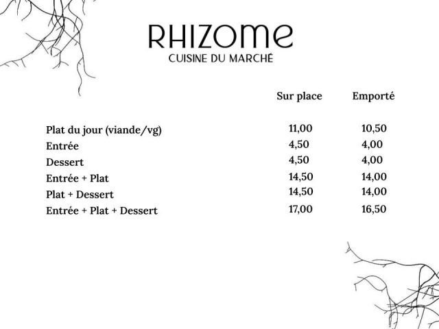 Rhizome