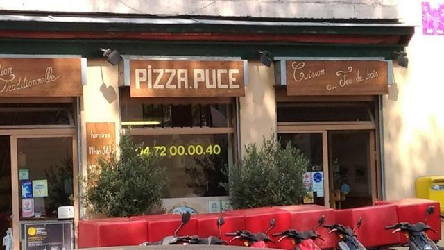 Pizza Puce